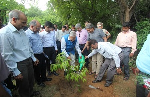 The Governor of Arunachal Pradesh Shri P B Acharya planting Tree at JNU Campus at Delhi on 26th July�2017.