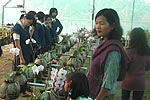 Childrens into the Raj Bhawan Orchid center